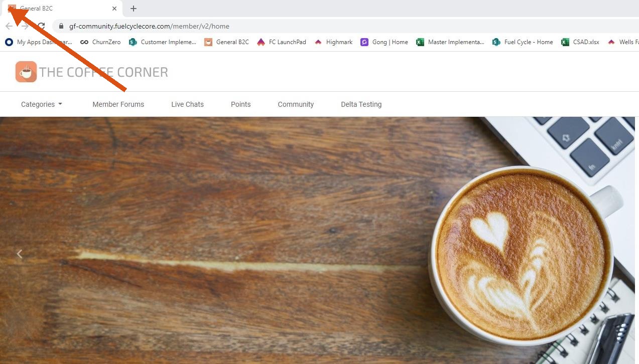 03-browser-icon.jpg
